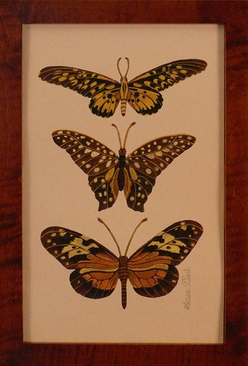Three Yelllow and Black Butterflies
