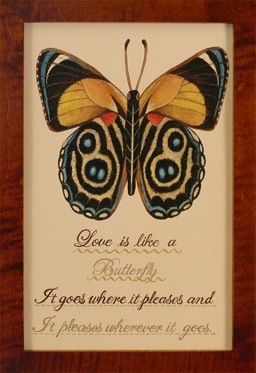 Love is Like a Butterfly
