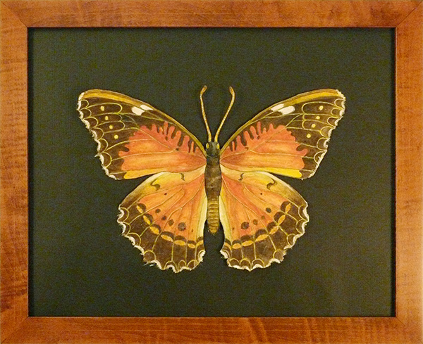 Large Orange Butterfly